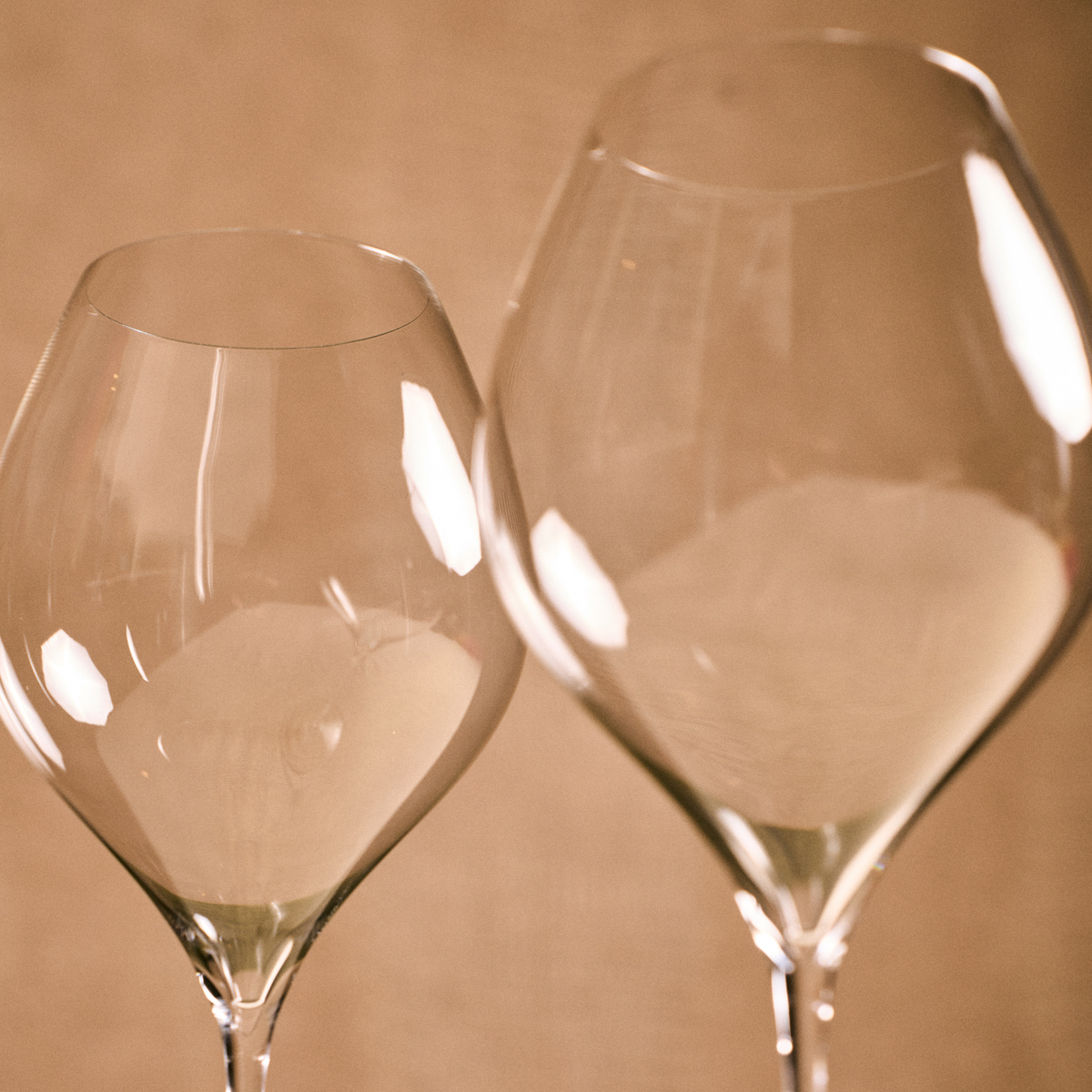 DONNA wine glass